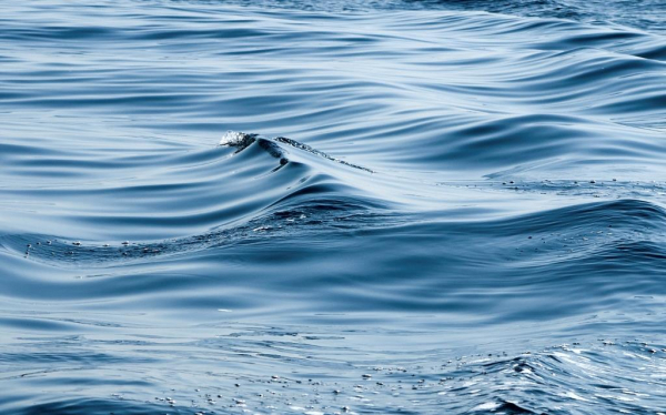 Повышение температуры воды назвали главной причиной ускорения роста уровня моря