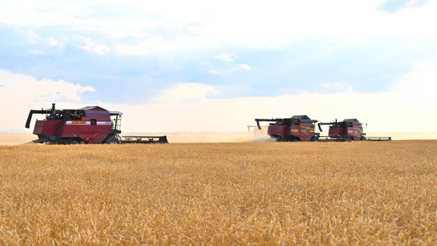 Аграрии Акмолинской области готовятся к уборке урожая с рекордных площадей