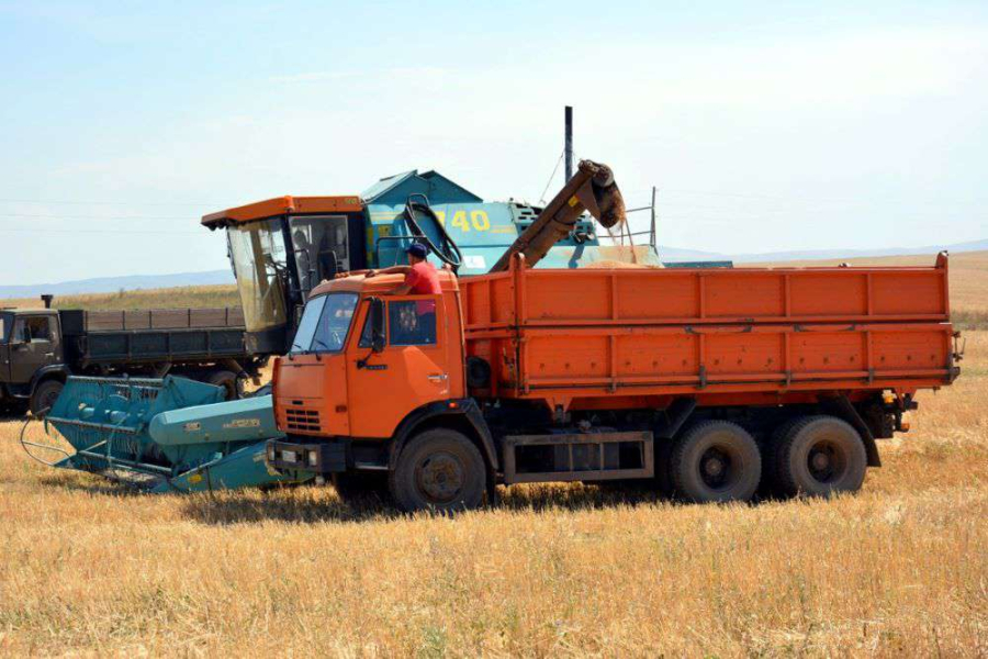 Господдержка помогла фермерам