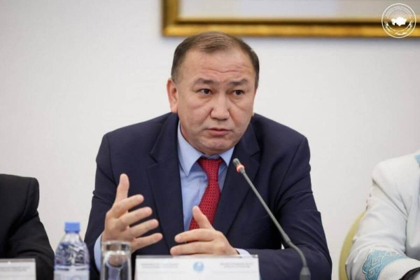 Нет результатов проверок с 2022 года – депутат обратился к Высшей аудиторской палате
