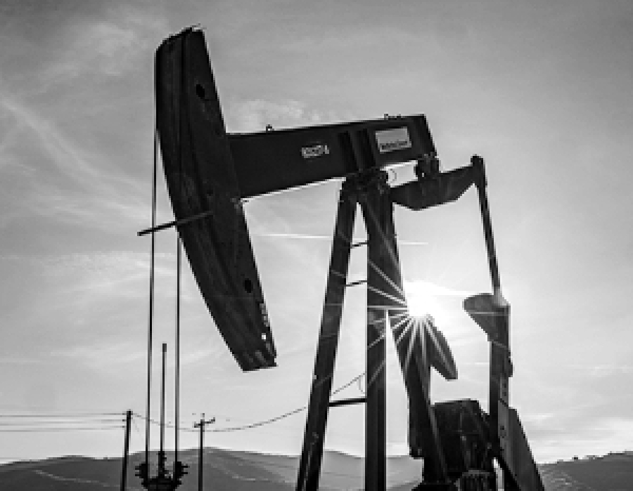 Суд получил подтверждение госпитализации Лерчек в онкоцентр