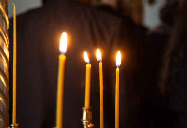 Ушел из жизни историк Рой Медведев