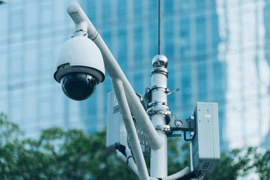 Глава МВД прокомментировал использование собак-роботов на дорогах Астаны