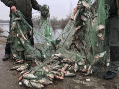 Более 6 миллионов тенге выплатили казахстанцы за нарушения водного законодательства