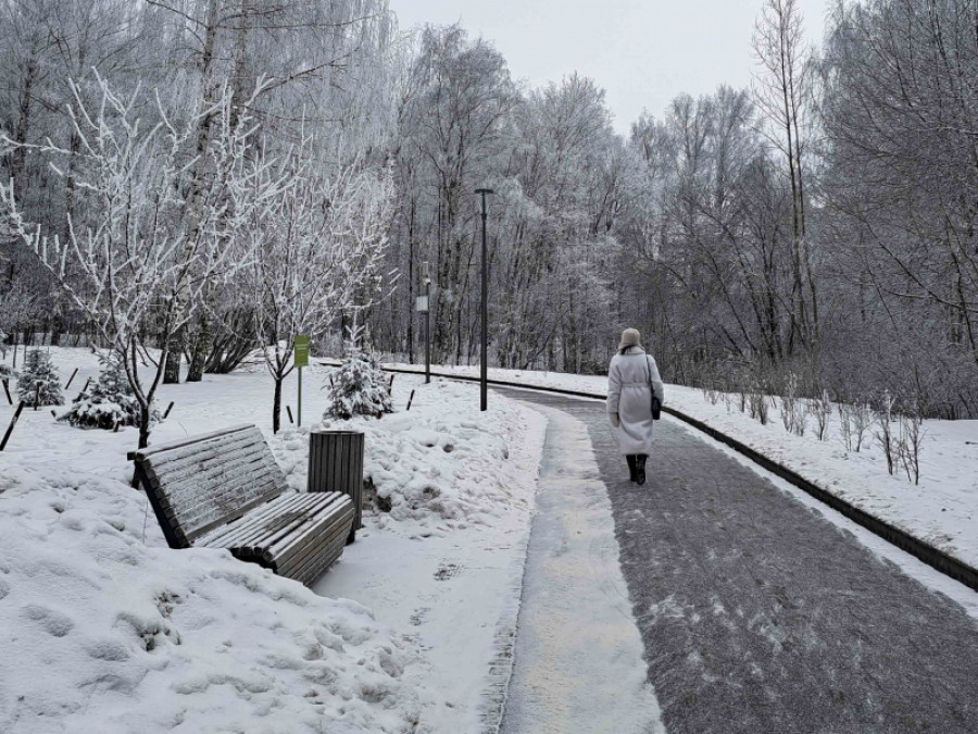 Во сколько обойдется властям строительство туристического центра Бийска