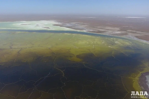 Акимат Мангистауской области судится с АО &laquo;Павлодарский речной порт&raquo; из-за рекультивации озера Кошкар-ата