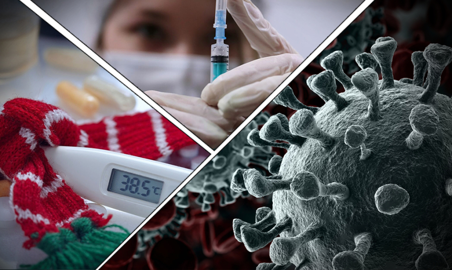 Представитель ВОЗ Жазаревич назвал вирус Нипах одним из самых опасных в мире