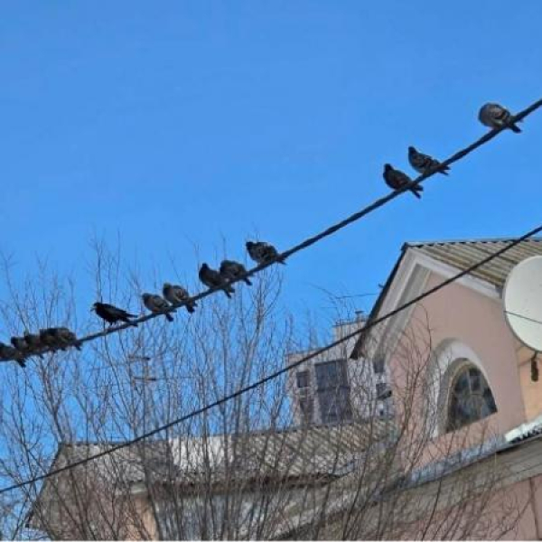 К концу недели в Татарстане потеплеет до +13 градусов, перепады температур уменьшатся