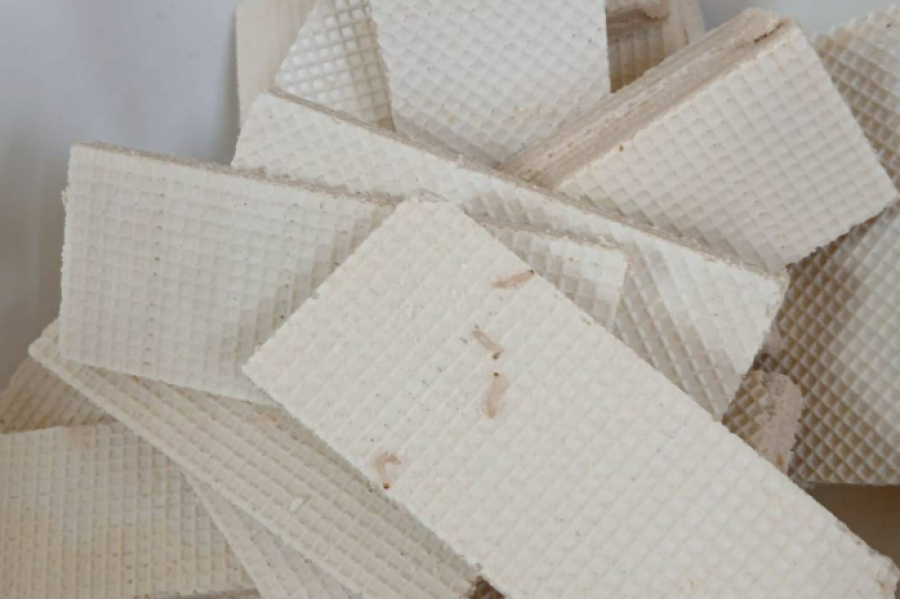 Ситуацию с червями в вафлях прокомментировали в отделе образования Костаная