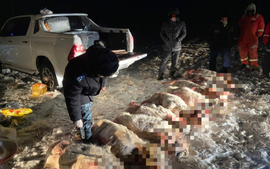 Браконьеров задержали в Байганинском районе