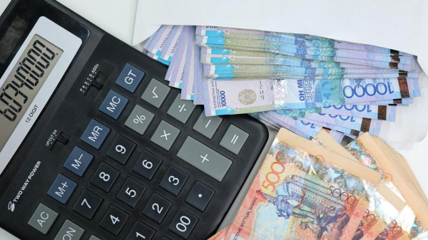 В Казахстане начали проверять, куда уходит бюджет
