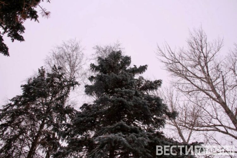 В Татарстане ожидаются снег, метель и до +3 градусов