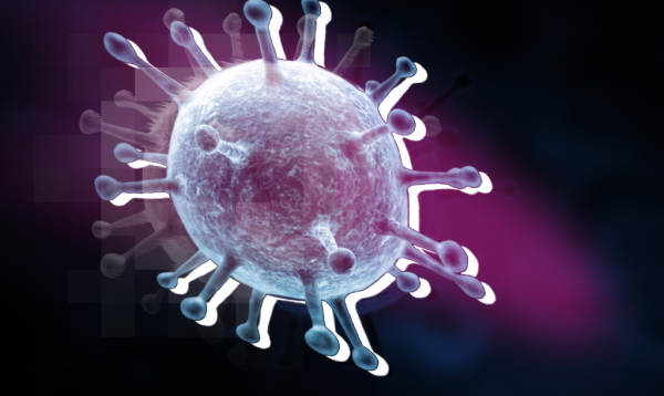 Инфекционист Исаев: угроза новой пандемии из-за вируса Нипах отсутствует