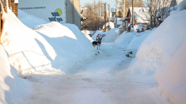 Скидку на оплату ЖКХ предлагают ввести для добровольцев, чистящих снег во дворах жилых домов 03/02/2026 &ndash; Новости