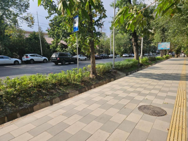 Восемь улиц Алматы станут зеленее