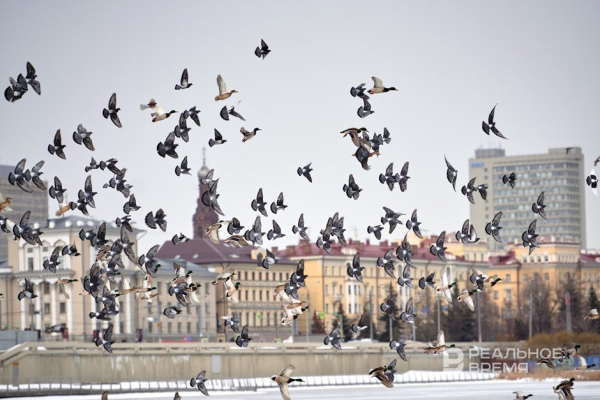 Казань попала в топ-5 городов для поездок на 8 марта
