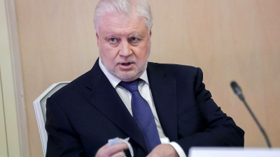 Миронов призвал сократить срок возврата денег за отмененные авиарейсы до 2 дней