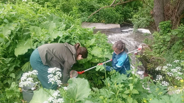 Водоканал Лениногорска сливал в реку загрязненные сточные воды