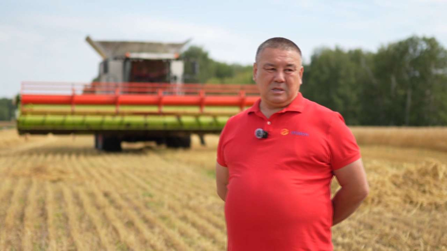 Урожайность озимой пшеницы в СКО достигает 50 ц/га