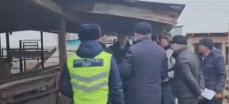 13 нелегальных скотобоен действовали в трех городах Казахстана