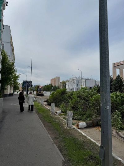 В центре Уральска выпилили многолетние деревья