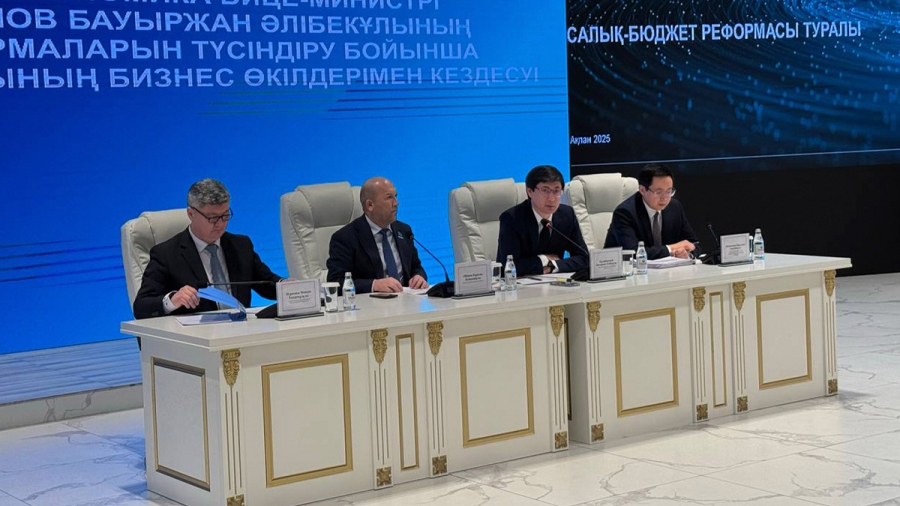 Налоговая реформа: бизнес Туркестанской области озвучил предложения правительству