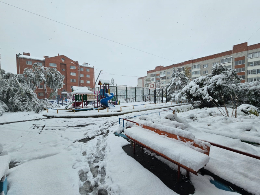Машины в кюветах, перебои с электроэнергией и сломанные деревья: в Костанай пришла зима