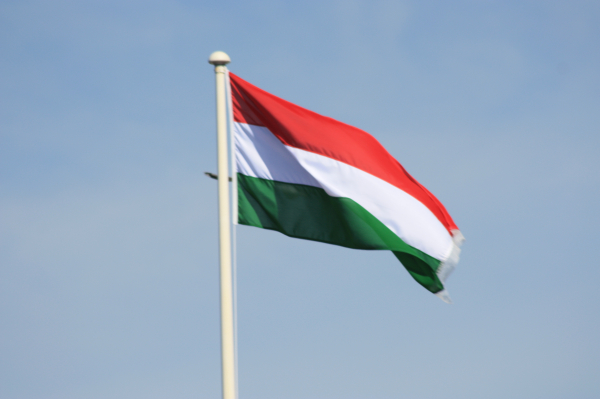 В Венгрии уволили 38 дипломатов из команды Сийярто