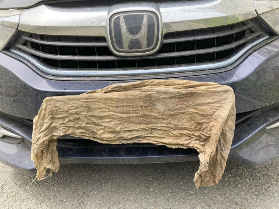 Во Владивостоке начали ставить блокираторы колес: кому грозят, сколько стоит снятие и почему нельзя убирать самому