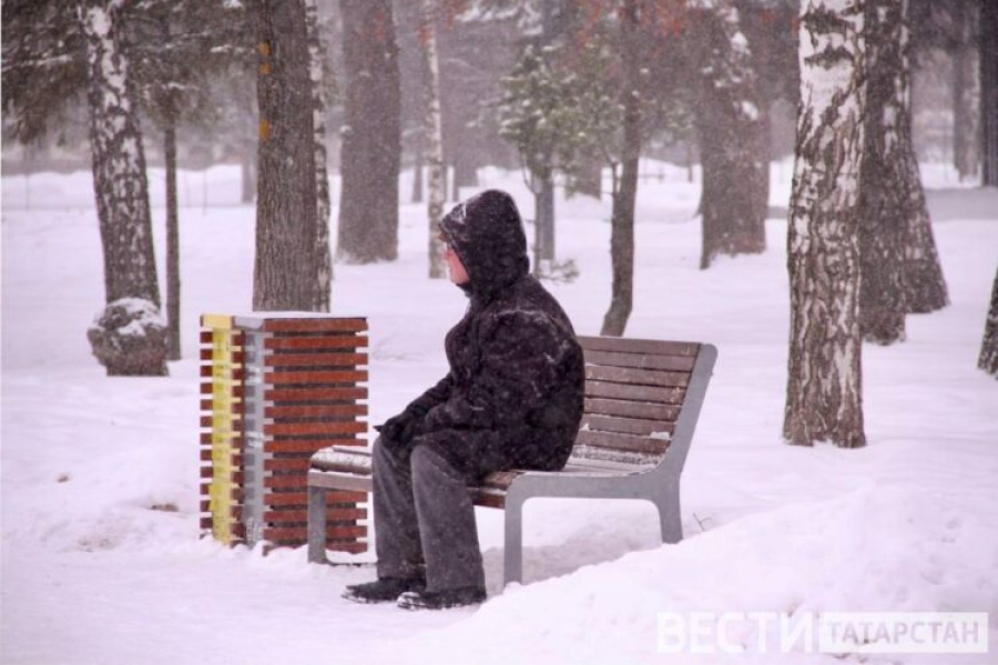 Для татарстанских пенсионеров стартовал курс по освоению мессенджера MAX