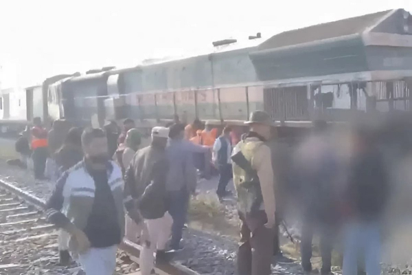 Поезд в Индии протаранил стадо слонов