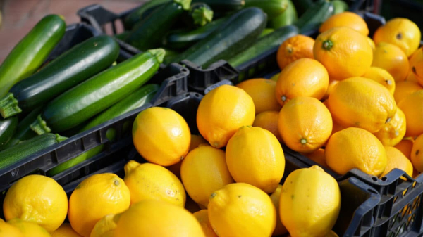 Россия вернула 18 тонн продукции из Казахстана и возбудила дело против перевозчика