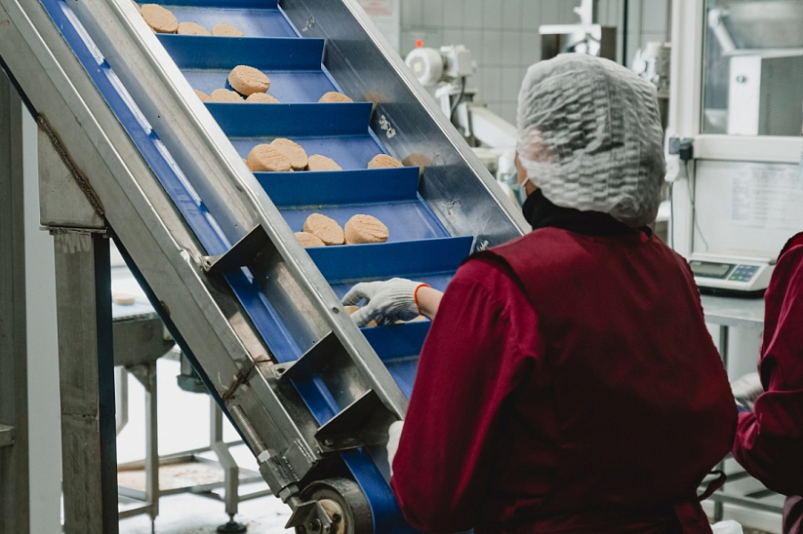 Резиденты ТОР за 10 лет создали в Челнах 11 тысяч рабочих мест